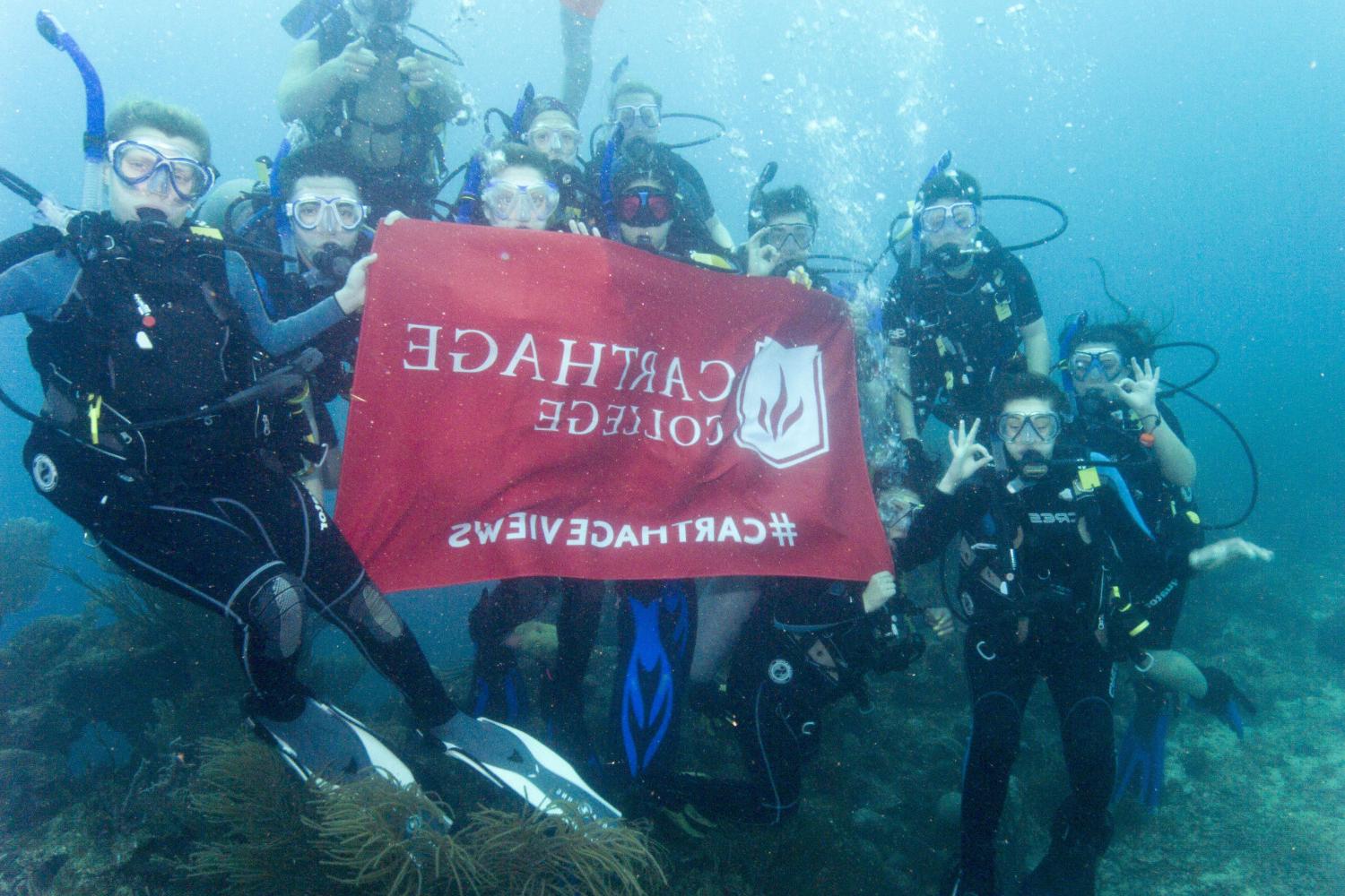 学生们手持<a href='http://imsh.ngskmc-eis.net'>博彩网址大全</a>旗帜，在j学期洪都拉斯游学之旅中潜水.